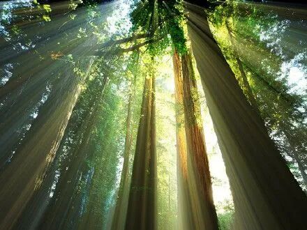 裂隙灯是什么带你了解眼科最常用的检查设备——裂隙灯_https://www.jmylbn.com_新闻资讯_第4张