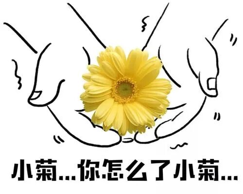 68"菊花残,满地伤",不知何时,这句歌词已经成为了"痔疮"的代名词