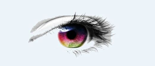 特别警示：氢氯噻嗪、吲达帕胺可引起脉络膜积液、急性近视！