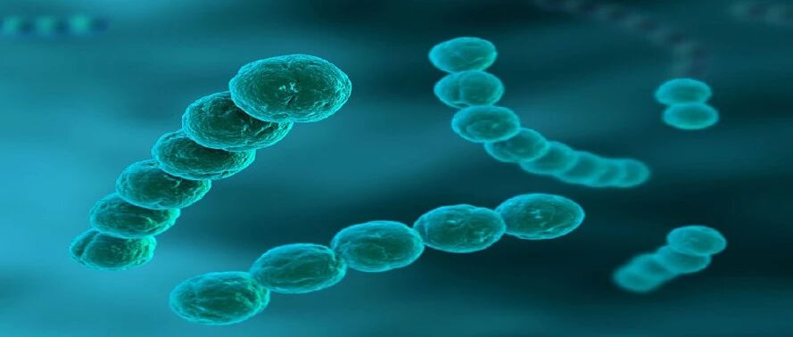 头孢唑林、头孢呋辛、头孢曲松之间的区别！