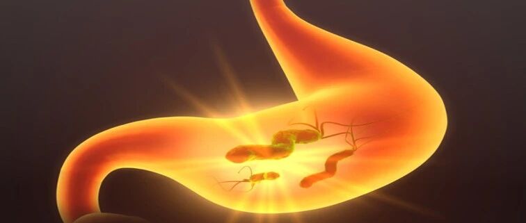 关于根除幽门螺杆菌，你不可不知的真相！