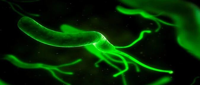 根除幽门螺杆菌：需注意这五点，否则可导致失败！