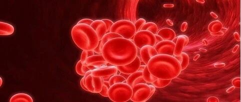 普通肝素和低分子肝素，到底有什么区别？