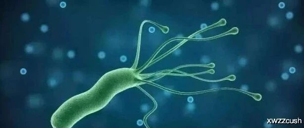 根除幽门螺杆菌，“高剂量二联疗法”到底怎么样？