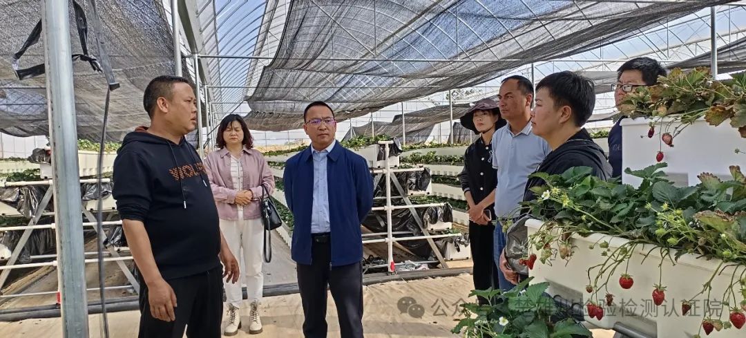 【产业服务提速】州检验检测认证院与永仁县开展林果产业高质量发展座谈