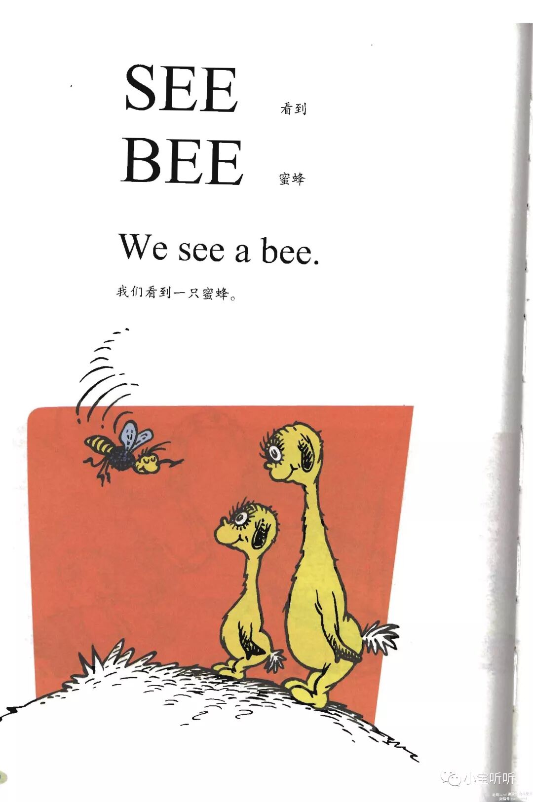 廖彩杏书单第3周第2本hoponpop在爸爸身上蹦来跳去