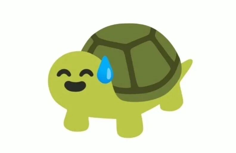 胖猫之死--为什么龟男绝无好下场