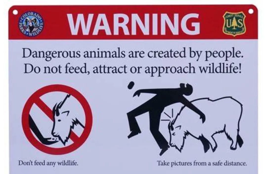 禁止给动物喂食警示牌图片