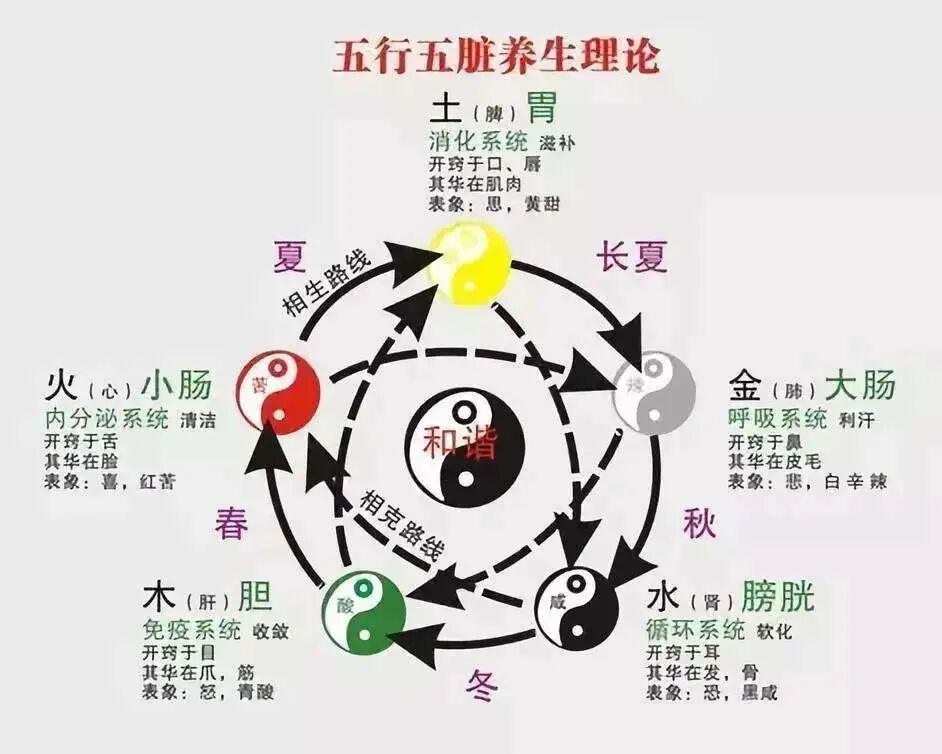 为什么心是钩脉最全五行系统对照表（值得珍藏）-上海聚慕医疗器械有限公司