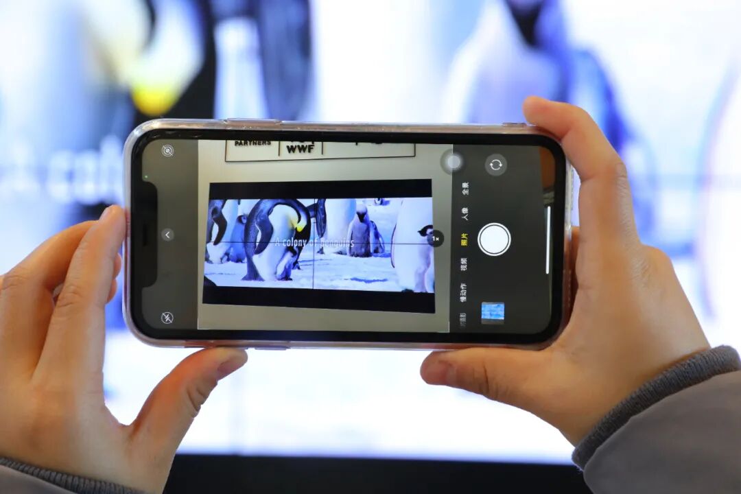 藍(lán)色海洋，凈塑自然沉浸式藝術(shù)展(圖9)