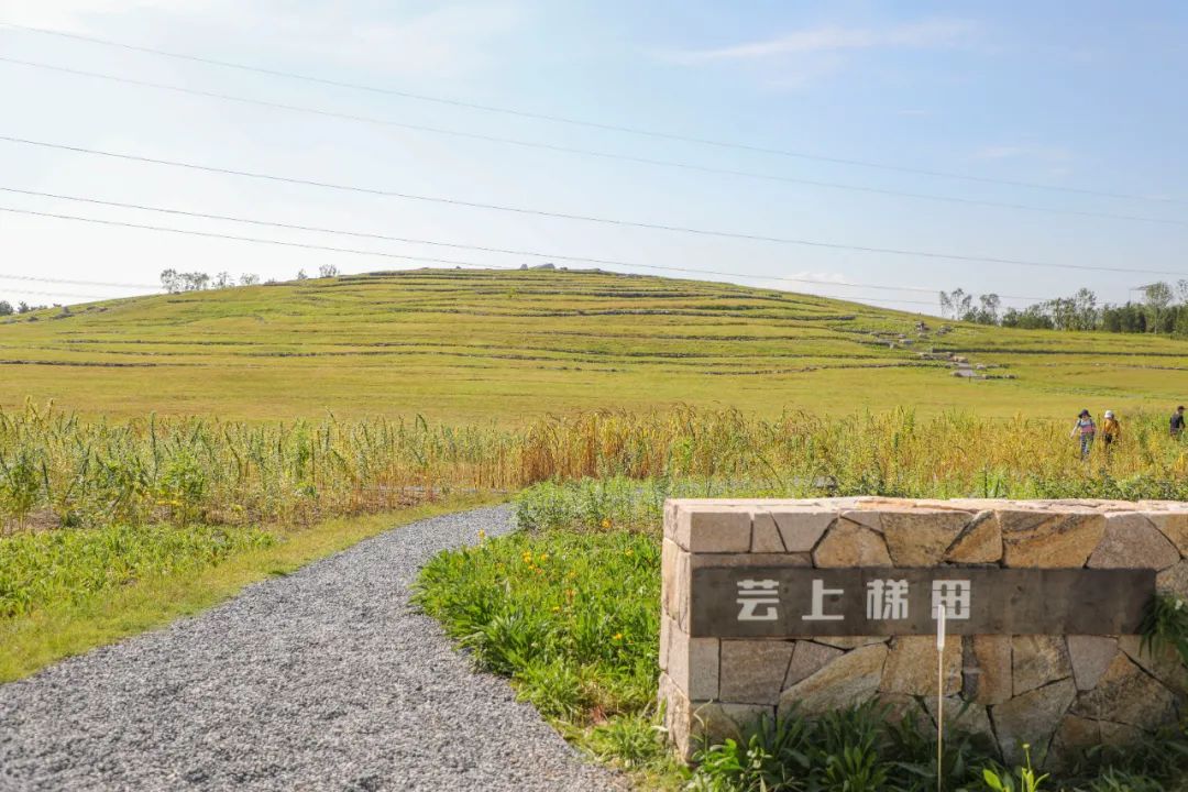 比奧森大6倍！朝陽新晉「綠肺公園」，景美人少，堪稱洗肺天堂！關鍵還免費！ 旅遊 第16張