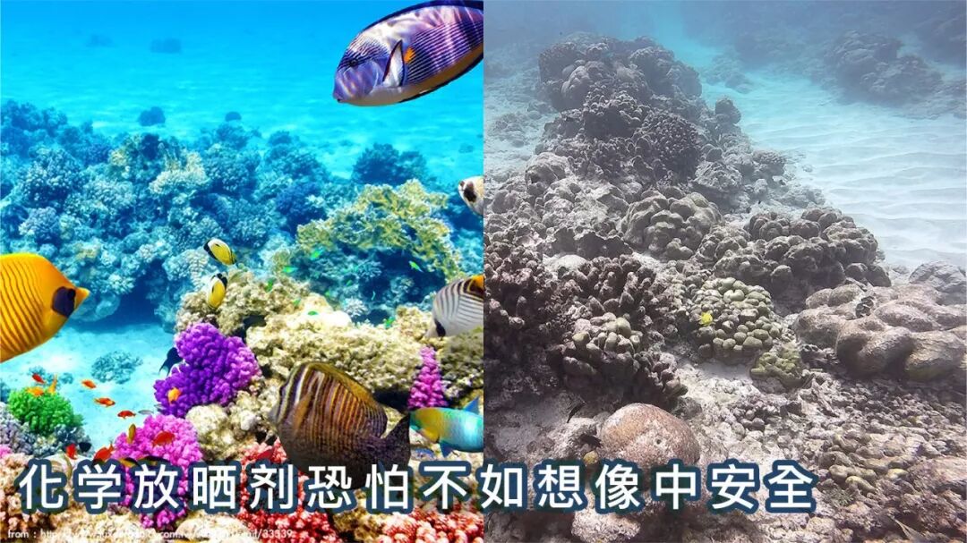 防晒，你不能不知道的秘密！