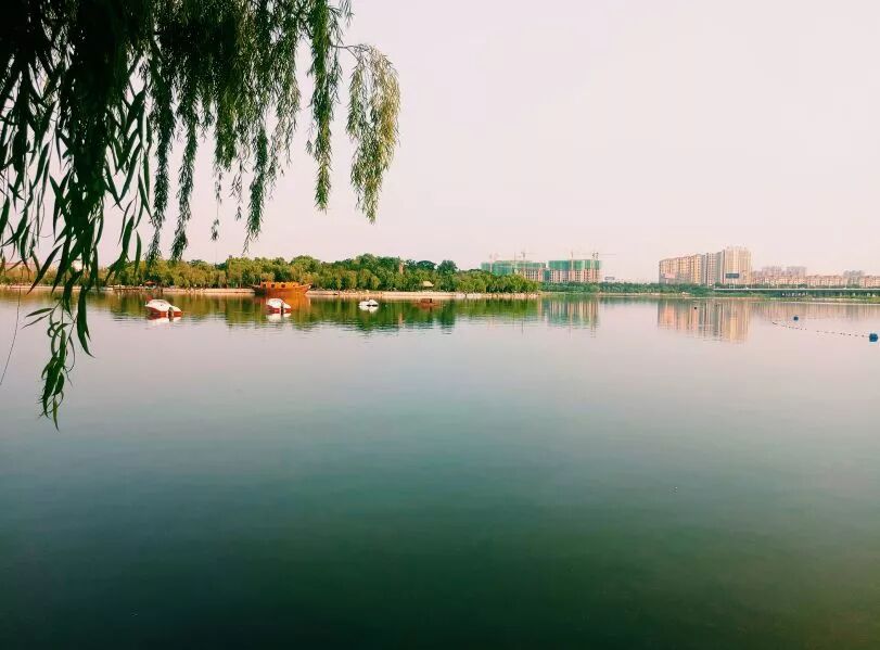 北方经济比南方差在哪里?酒桌上的事足以说明问题