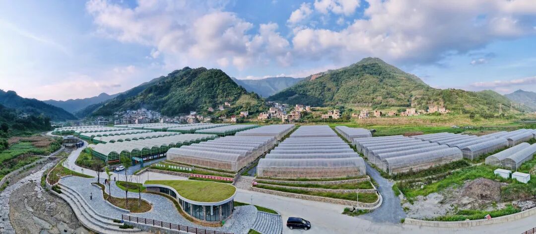 组到田林县开展百色市承办2025年广西文化旅游发展大会筹备情况调研