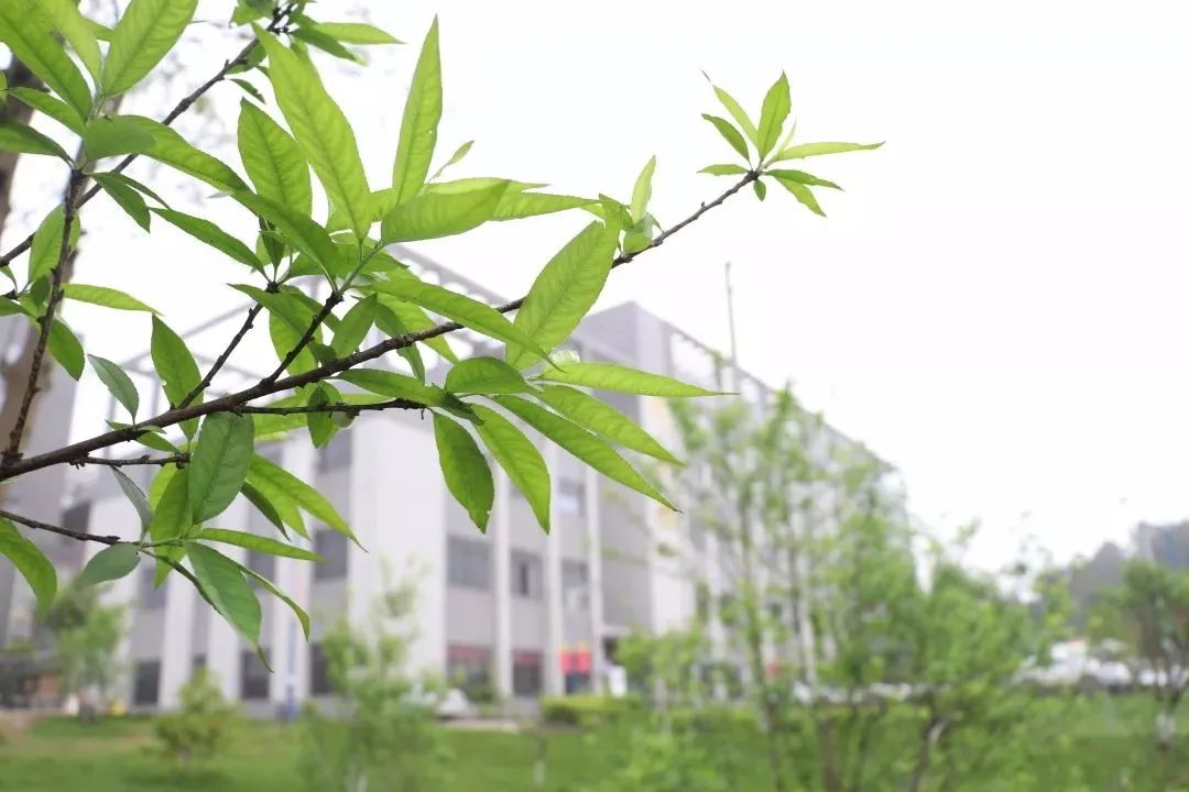 玉林到防城港多少公里