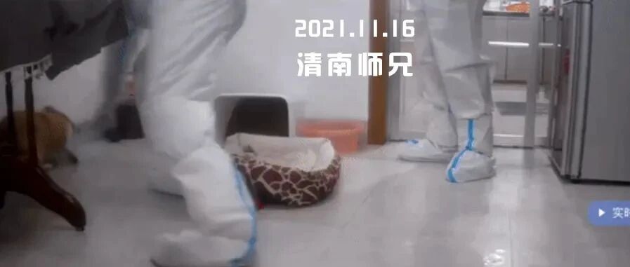 “无害化处理”=用棍棒打死？？？