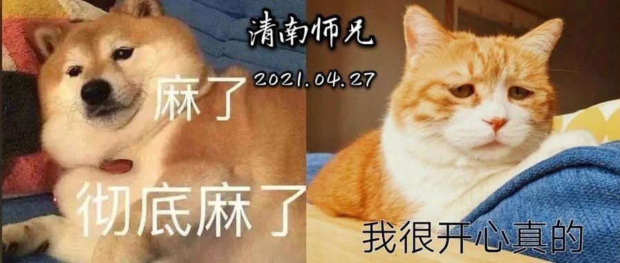 日薪208万，不愧是郑爽!!