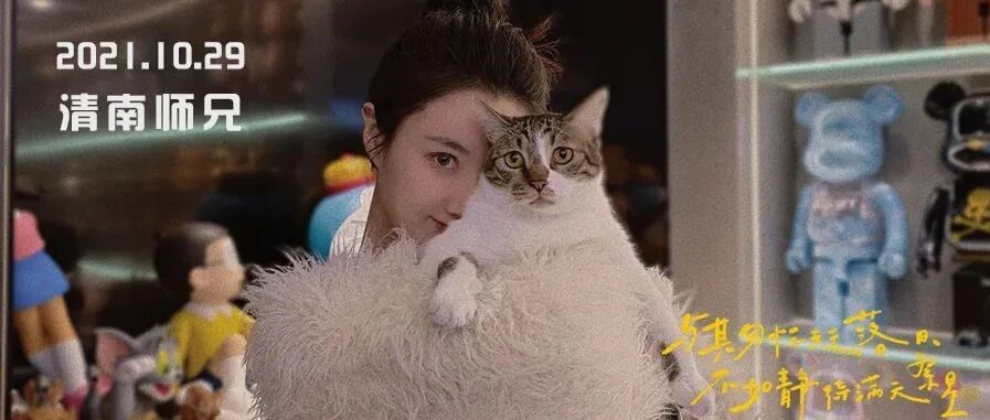 薇娅：直播背后，人间清醒