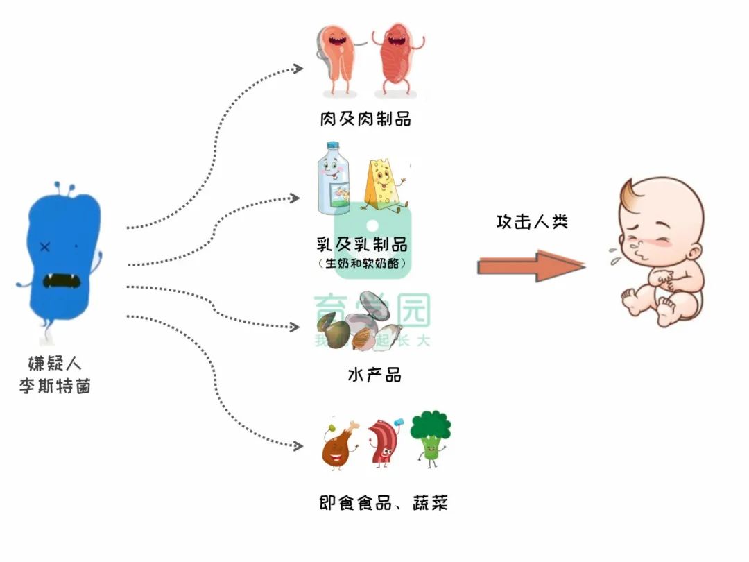 冰箱≠保險箱！用錯易滋生這種「致病菌」！可能傷害孕婦、孩子！ 親子 第6張