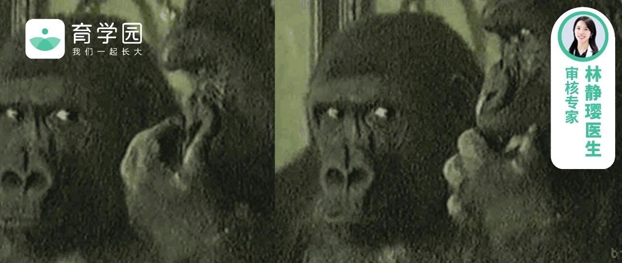 8岁孩子挖鼻孔，致颅内感染！1文学会鼻腔清理，超实用