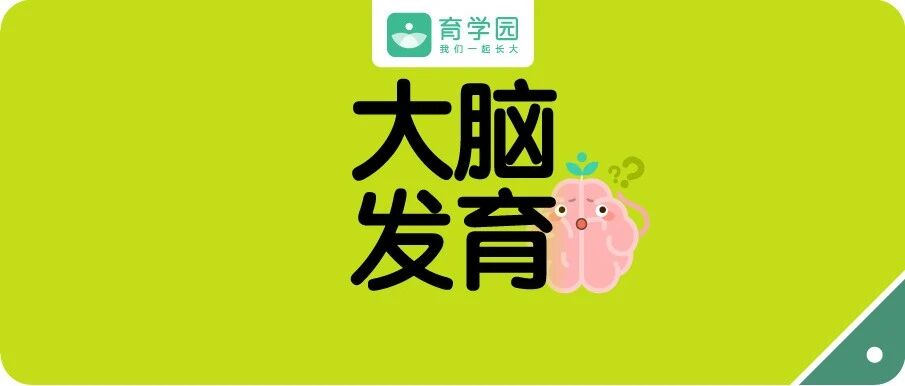 宝宝大脑发育一生就一次！多吃这些食物，会让他越来越聪明！