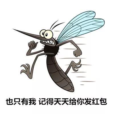 炉甘石为什么婴幼儿禁用-超实用的宝宝防蚊驱蚊指南送给家长！让宝宝免受蚊虫叮咬的秘诀全在这里