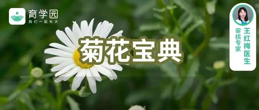 “菊部地区”有阵痛！千万别自行用药，当心越用越糟！