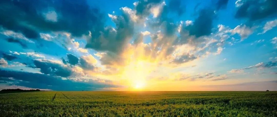 格局新教育秋季少儿班招生中，最后5个名额～