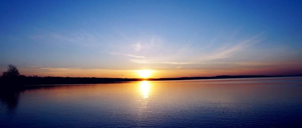 你的孩子除了成绩单，离「腹有诗书气自华」有多远？