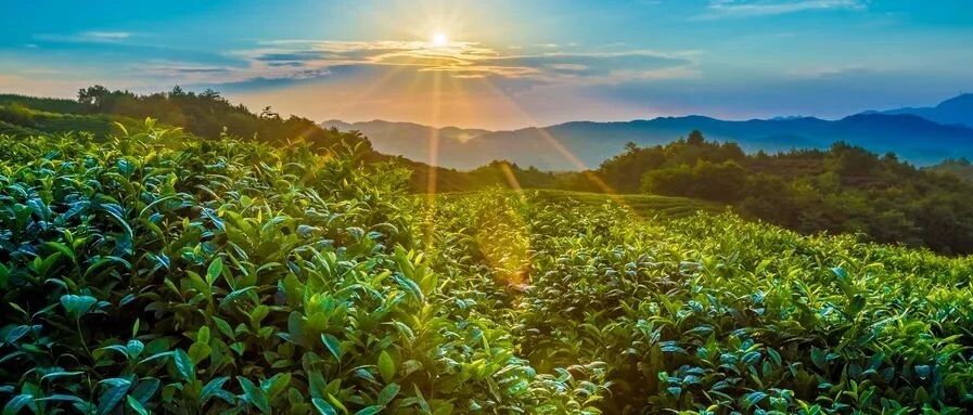 知足即富人，厚道即好人，平常即高人！