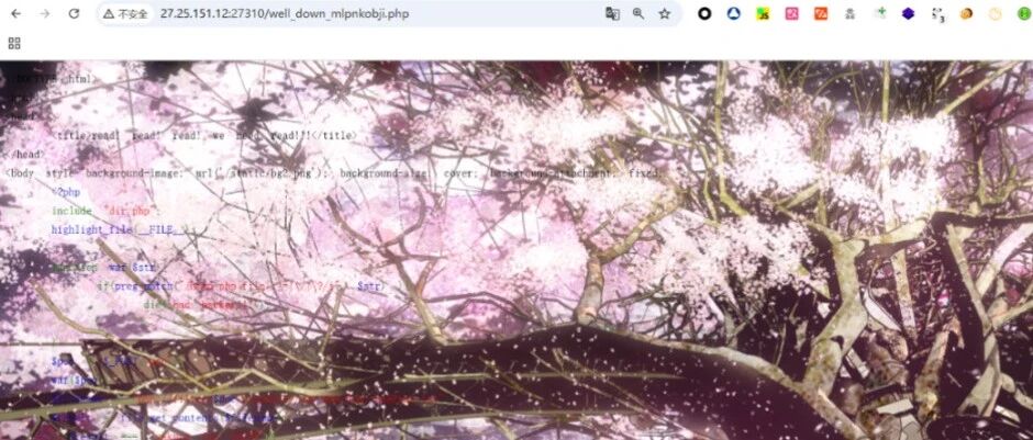 Example Image