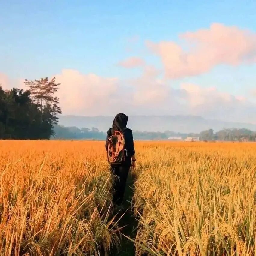 女，设计师，25岁，又穷又闲：社会正在惩罚没有规划的人！