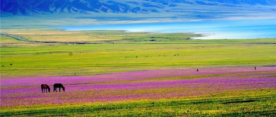 新疆最美的季节重新向您发出邀请！