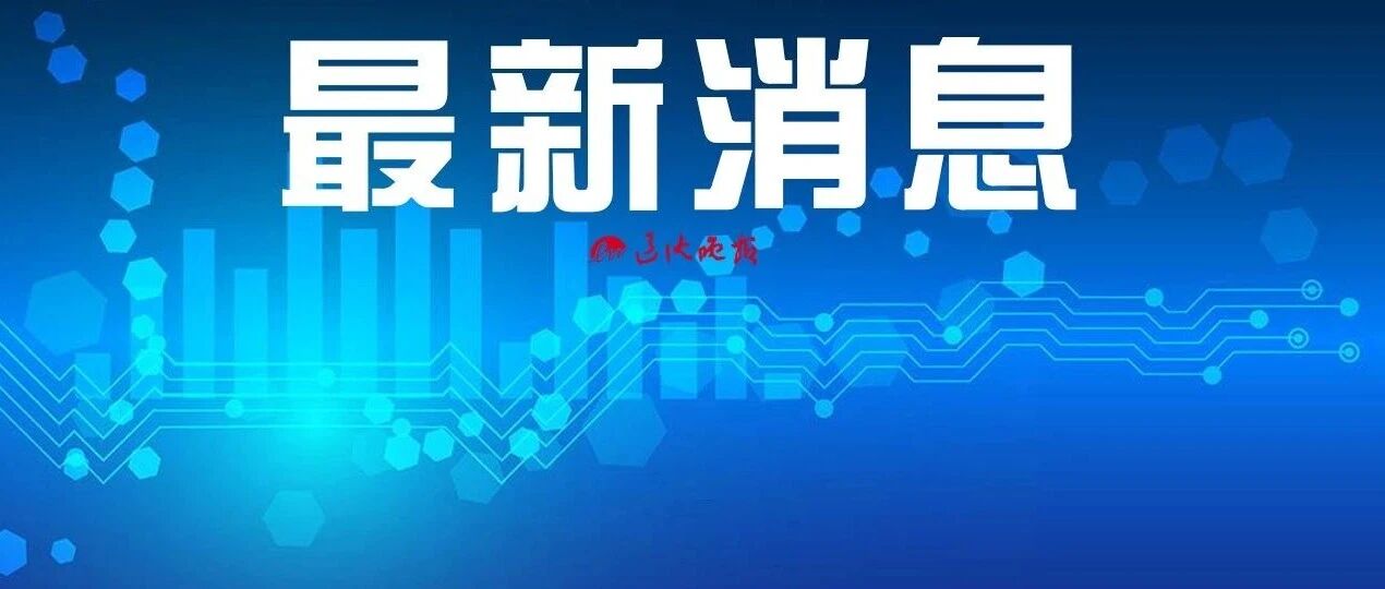 山东通报“苟晶被冒名顶替上学”事件调查结果！15人被处理！