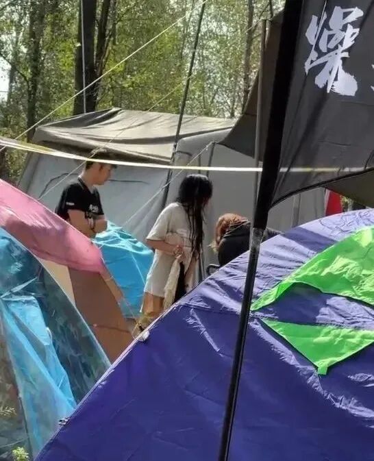 “迷笛 偷东西”登上热搜，网民陈某，已被抓获！部分盗窃者被拘（组图） - 6