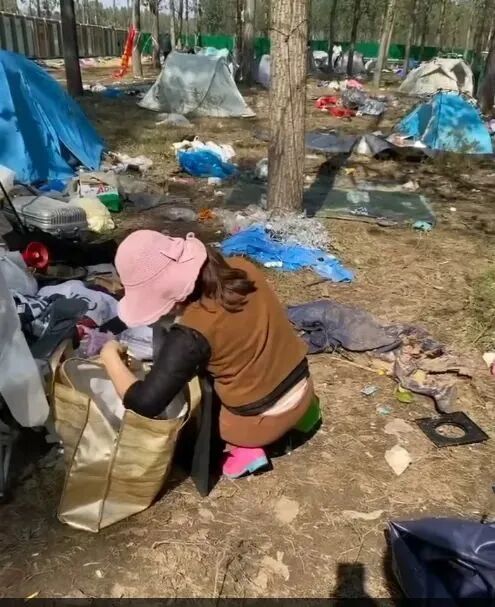“迷笛 偷东西”登上热搜，网民陈某，已被抓获！部分盗窃者被拘（组图） - 7