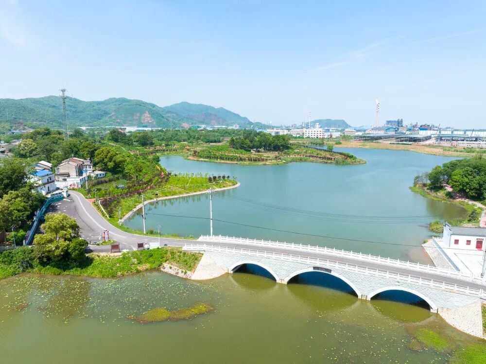 黄石这里将打造一片环湖花海! _云上鄂州