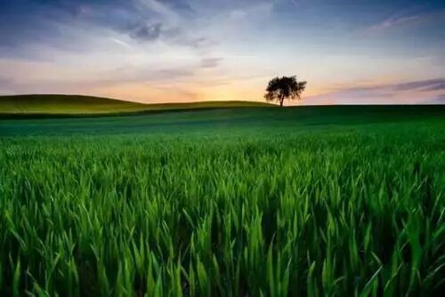 640?wx_fmt=jpeg&tp=webp&wxfrom=5&wx_lazy=1&wx_co=1