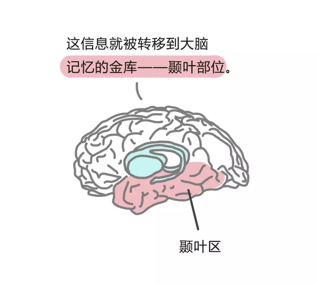 過目不忘的讀書法，你值得擁有 職場 第38張