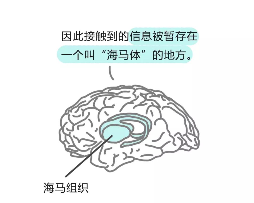 過目不忘的讀書法，你值得擁有 未分類 第36張