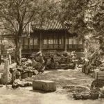 北京半亩园与《红楼梦》的渊源丨京华物语