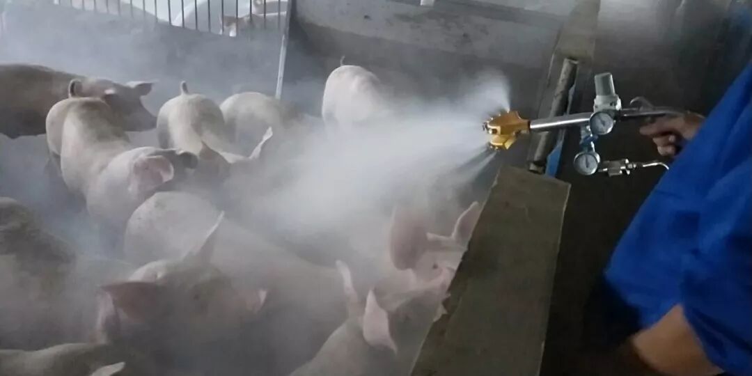 家用雾化机怎么消毒非瘟消毒利器~“五里雾”可移动式弥雾机_https://www.jmylbn.com_新闻资讯_第3张