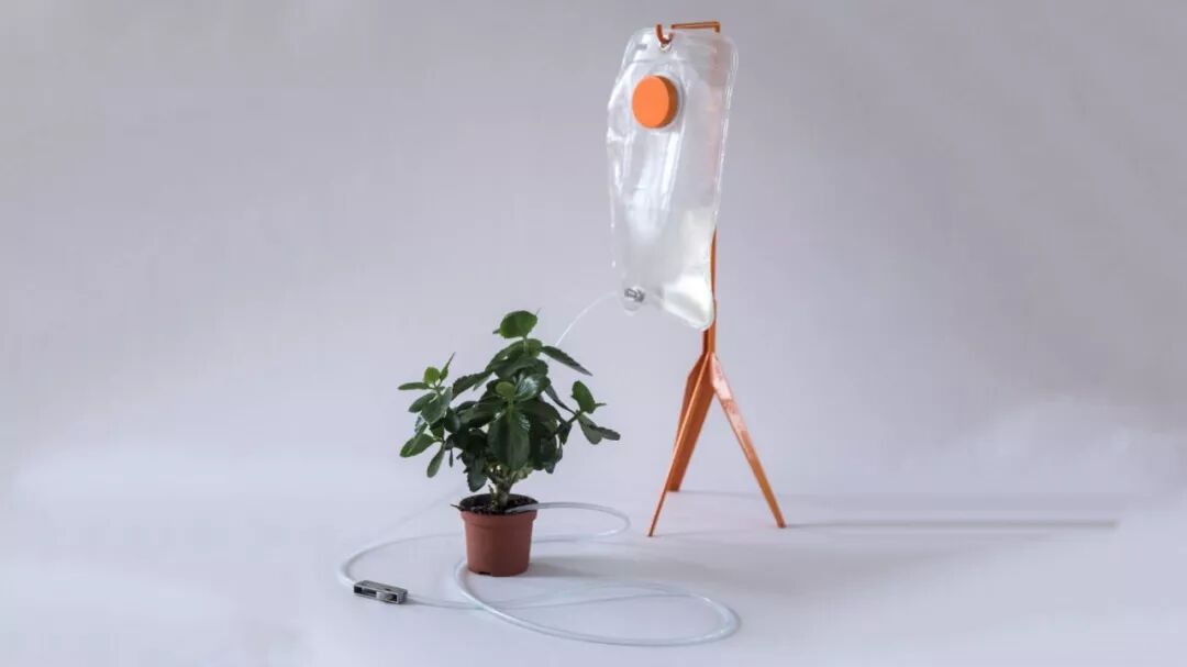生活太繁忙忘记给植物浇水 试试这个植物专用的 点滴 吧 Ohmy设计 微信公众号文章阅读 Wemp