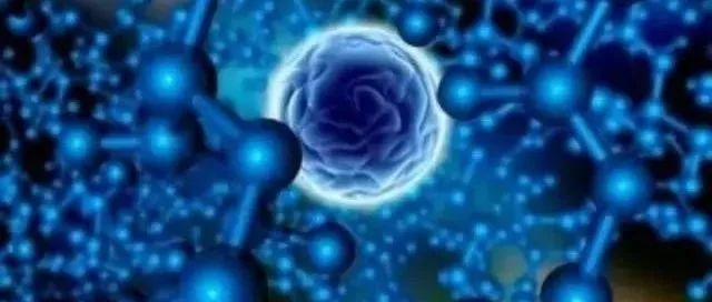 小分子肽与疾病的关系