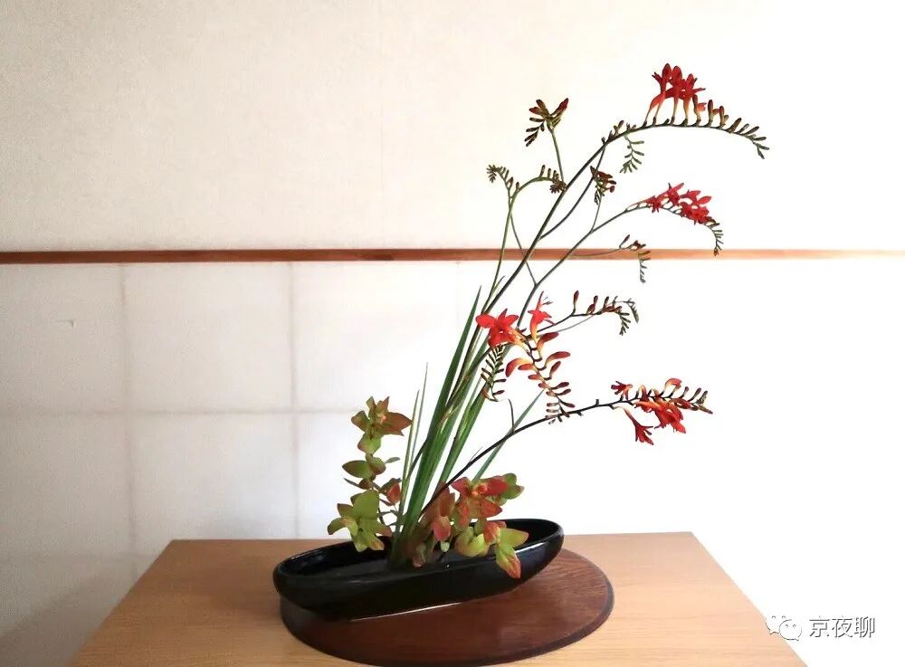 朱岚插花 缤纷如夏花 朱顶红 夏椿 姫桧扇水仙 看看都是些什么花 京夜聊 微信公众号文章阅读 Wemp