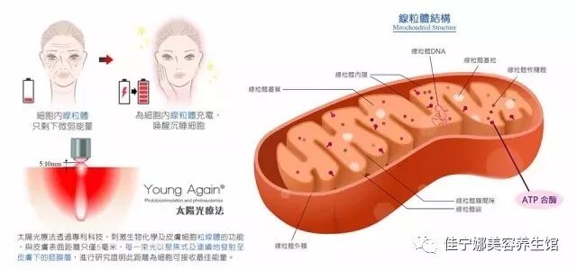 无创仪器是什么高科技美容时代——原装意大利进口贝嘉文系列仪器！_https://www.jmylbn.com_新闻资讯_第11张