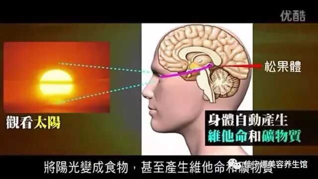 无创仪器是什么高科技美容时代——原装意大利进口贝嘉文系列仪器！_https://www.jmylbn.com_新闻资讯_第10张