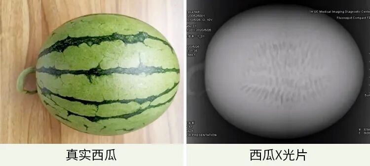 我们能看到西瓜的形状和轮廓,但西瓜里面的纤维纹理结构就显示不清