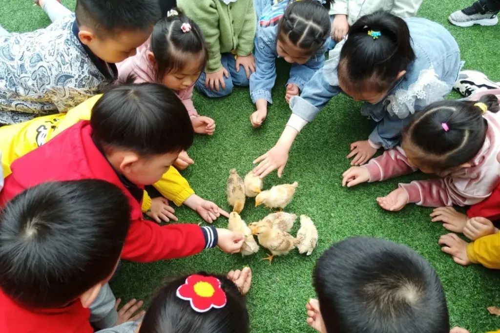 图片 图片