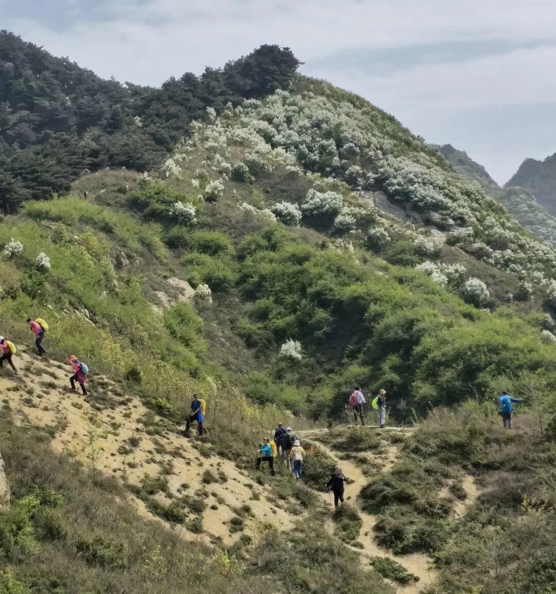 【荒野61登山】4月19日(周三)蓝关古道 | 蓝关古道穿越虎头山